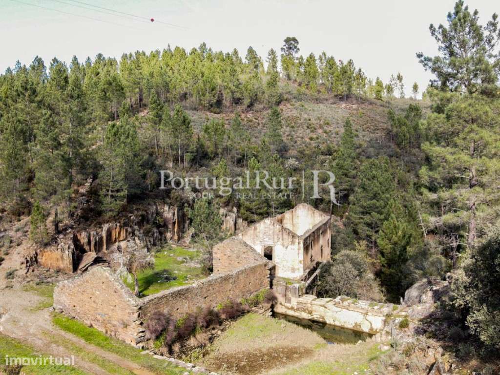 Antigo Lagar com 5,7 hectares - Grande imagem: 3/41