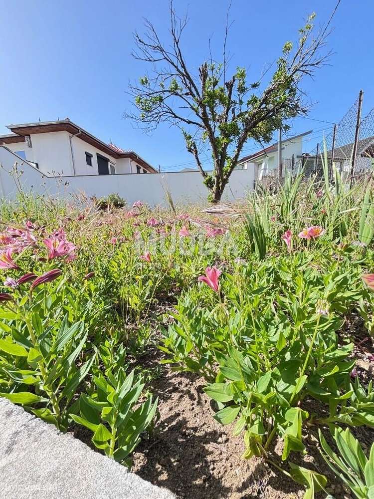 Moradia de 2 Pisos – Excelente Oportunidade em Romariz, Santa Maria da-21