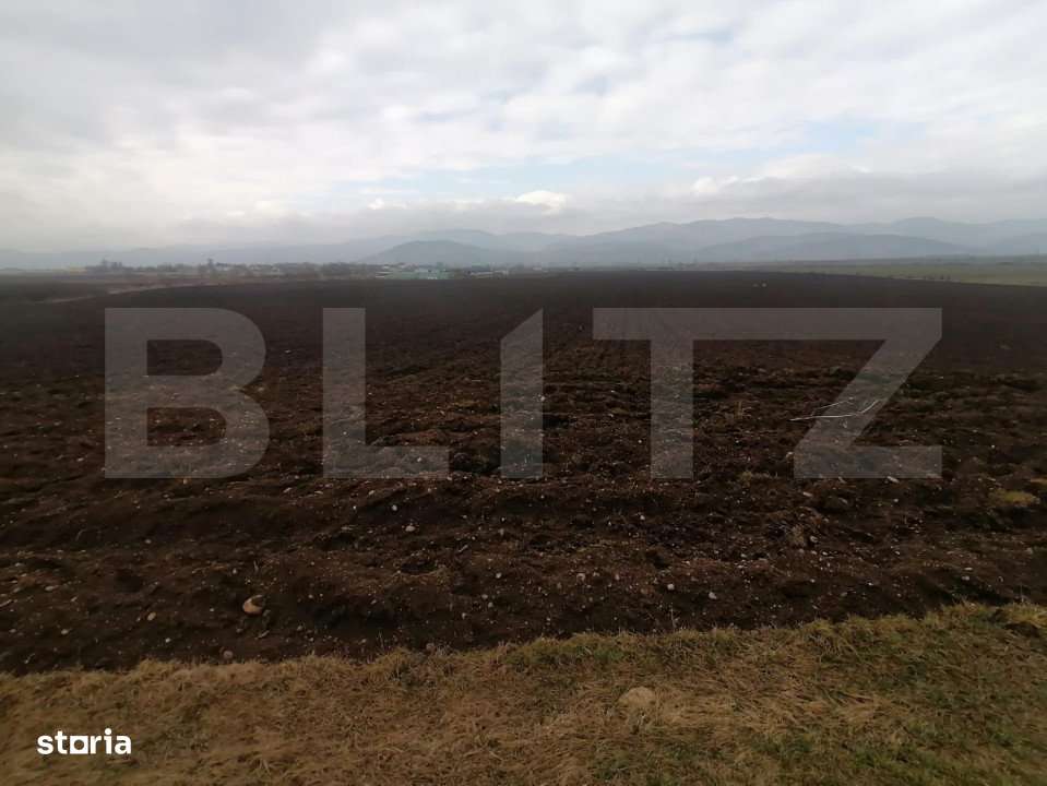Teren extravilan 21300 mp zona Vintu de Jos - Imagine principală: 4/4