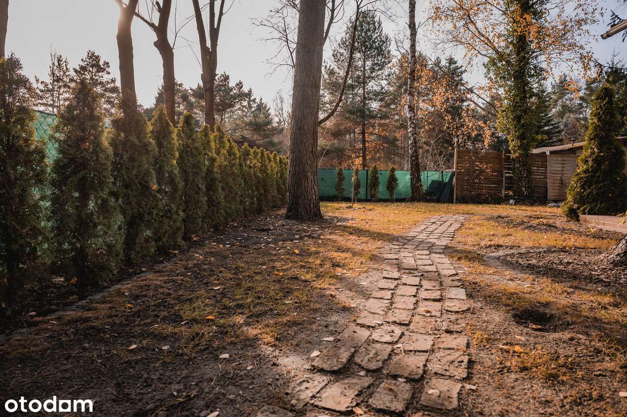 SŁAWICA | SKOKI | BŁĘKITNA | PIĘKNA DZIAŁKA Z DOMKIEM NAD JEZIOREM - Pełny obrazek: 5/18