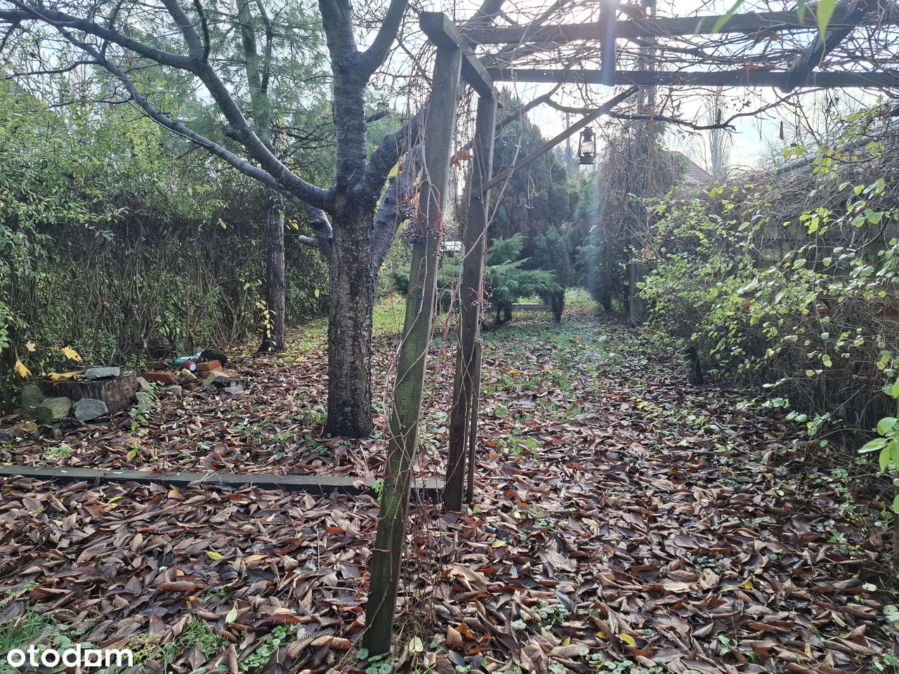 ----REZERWACJA--3 pokojowe z garażem, działką - klucze w biurze OKAZJA-5