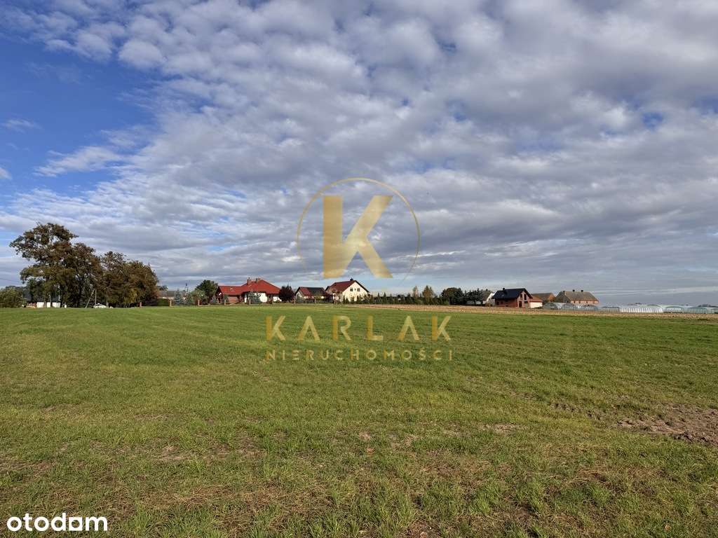 Działki budowlane w Międzychodzie koło Śremu z WZ-1