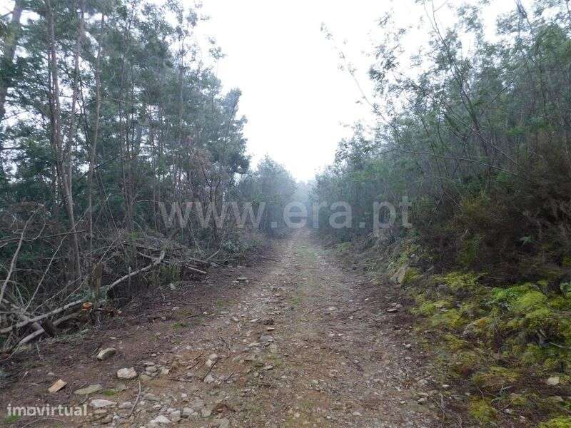 Terreno Rústico / Fundão, Souto da Casa - Grande imagem: 4/5