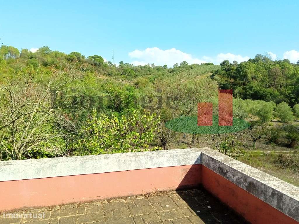 Quinta com 2 Casas de Campo, Olival e Vinha em Azambuja - Grande imagem: 5/60