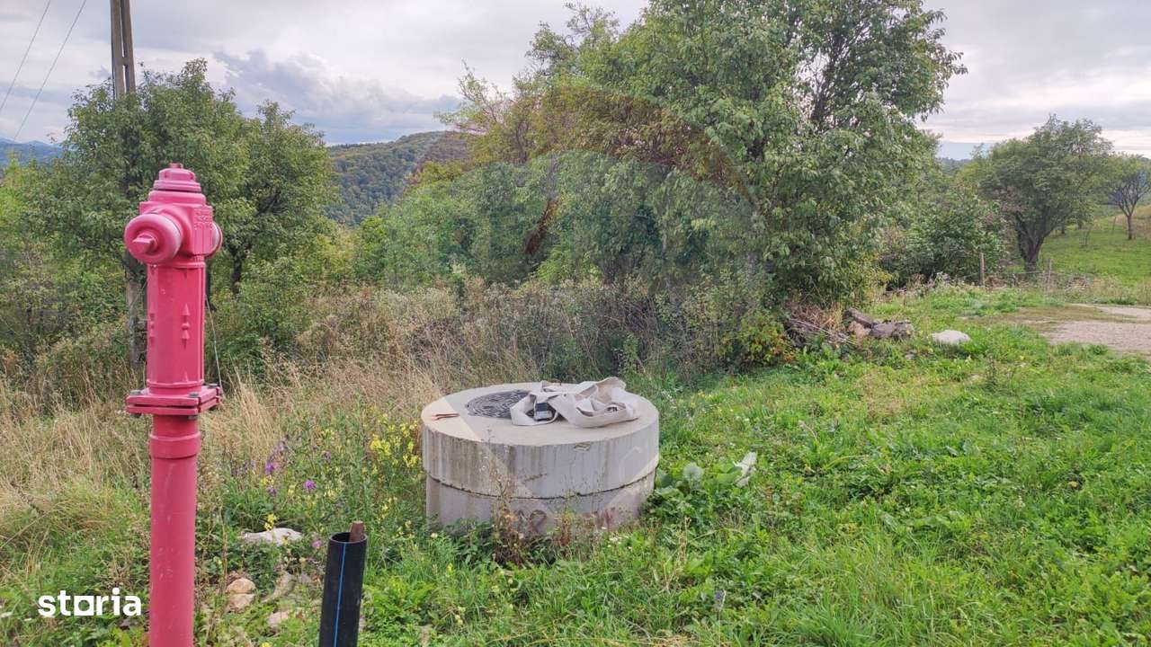 Teren constructii si faneata/livada 3082 mp Damis Bratca drum DJ 764D - Imagine principală: 5/20