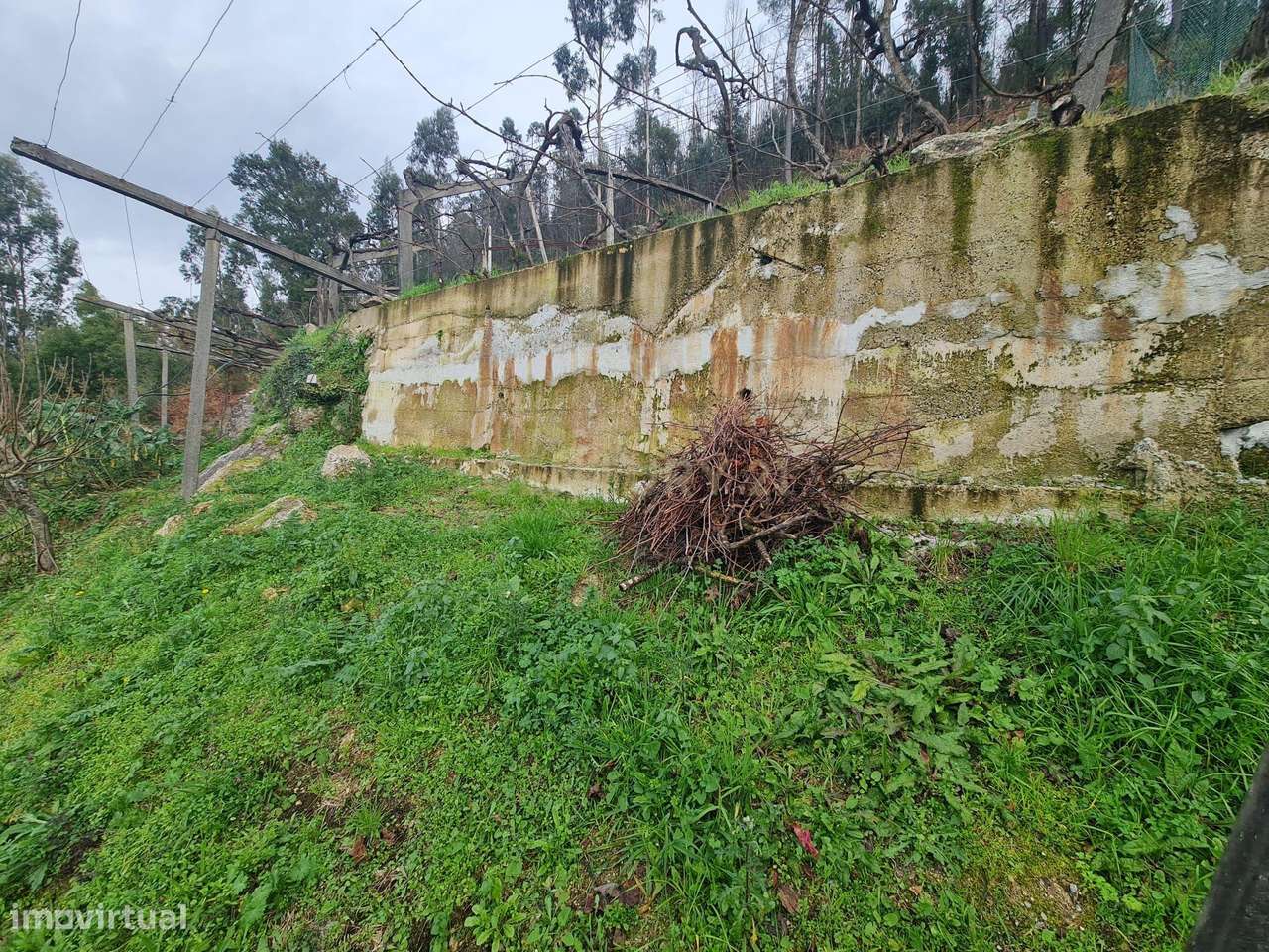 TERRENO RÚSTICO, PENAFIEL, CAPELA (apenas venda conjunta com a referên-9