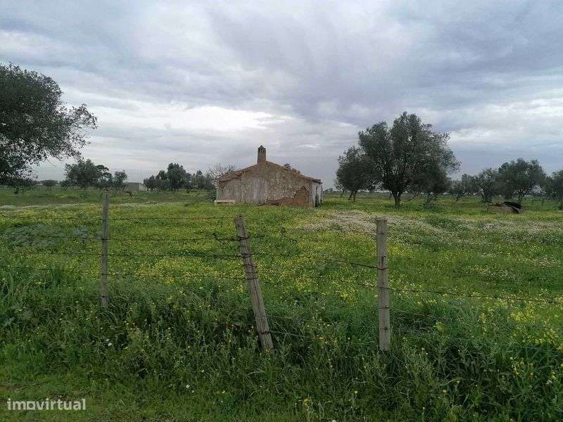 Quinta 12500m2 Alvalade - Grande imagem: 5/10