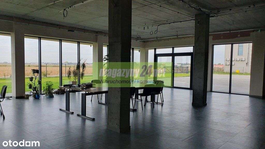 Nowa hala 1700m2 plus 350m2 zaplecze Bemowo S8 - Pełny obrazek: 5/16