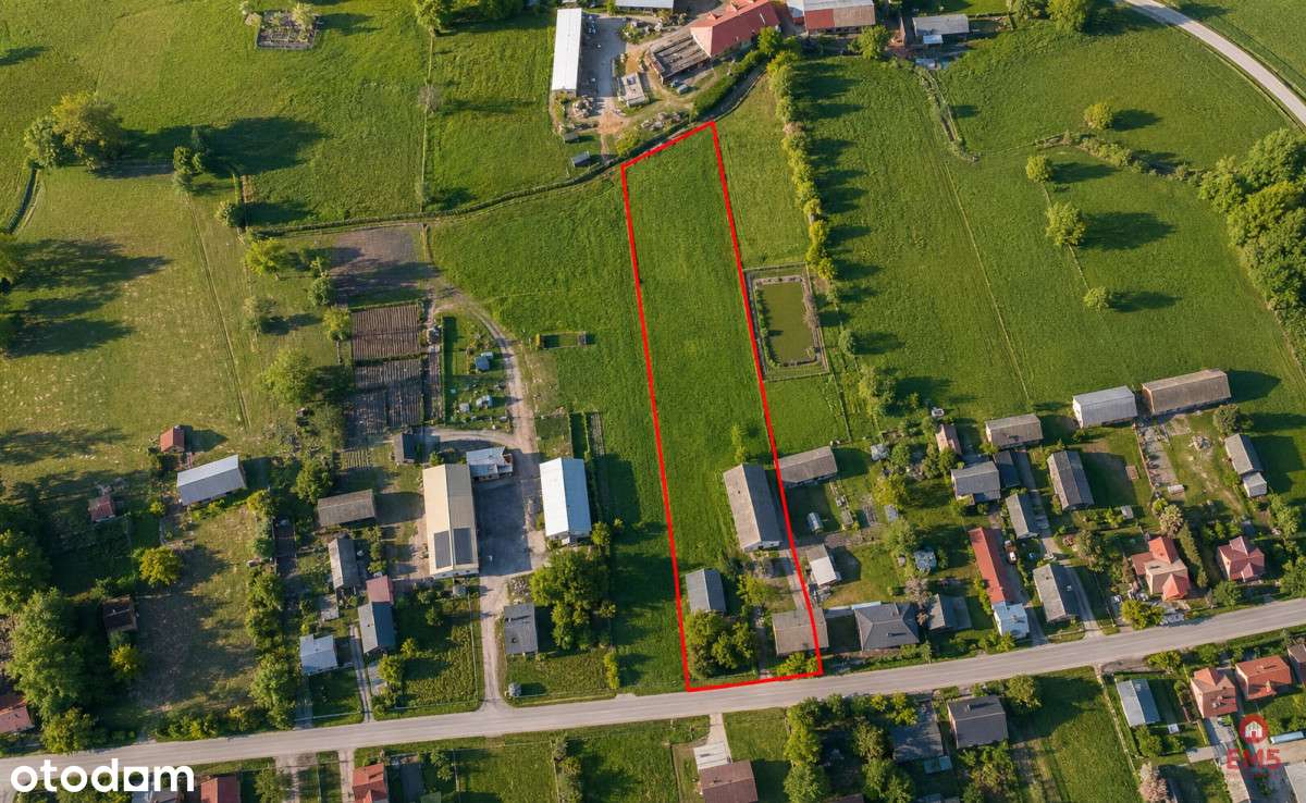 Siedlisko 0,6 ha, gm. Brańsk