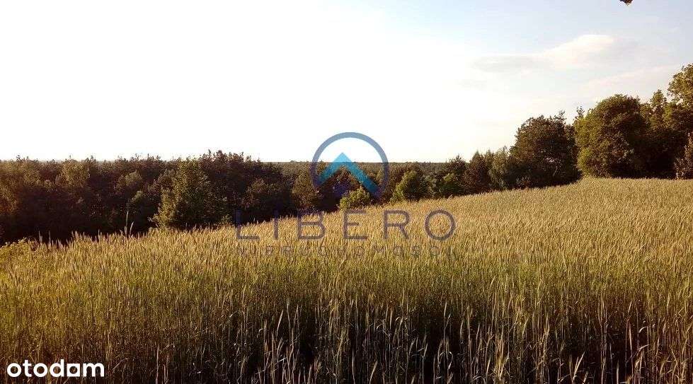 Działka Huta Podgórna, okolice Serocka - Pełny obrazek: 4/8