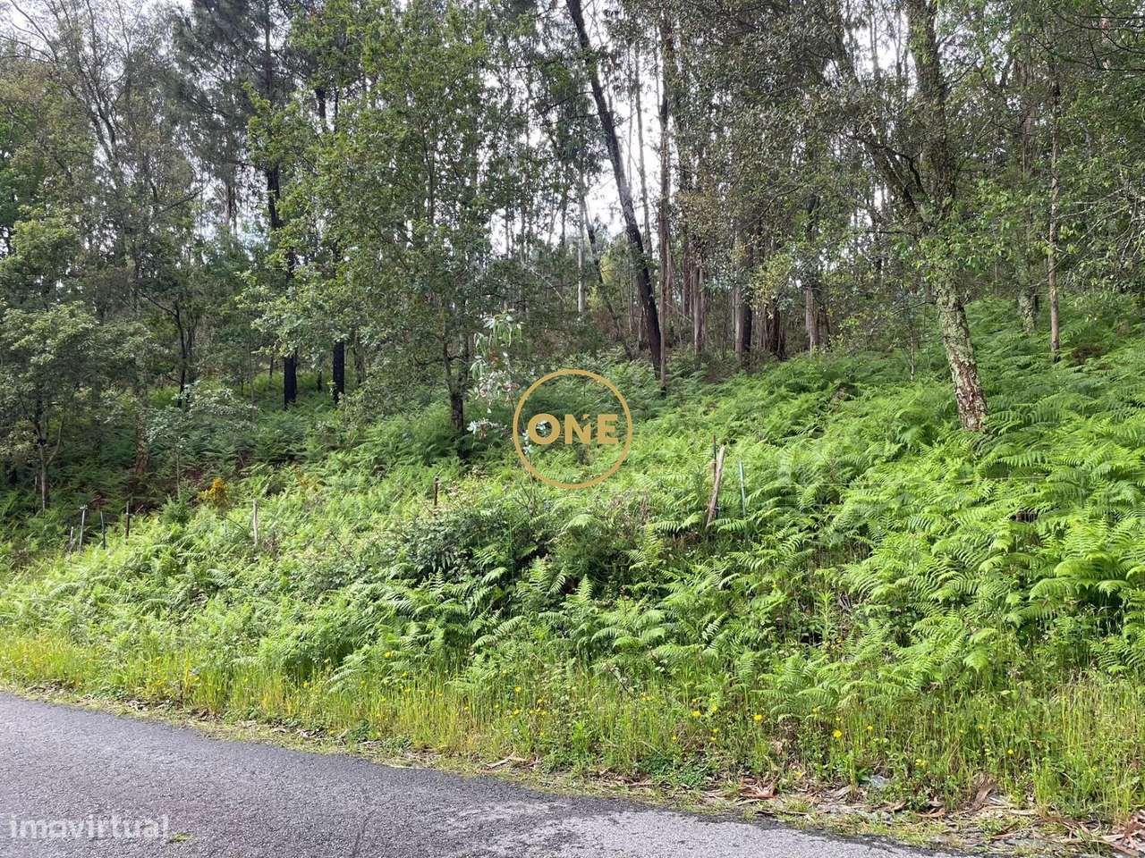 Venda Terreno - Grande imagem: 5/11