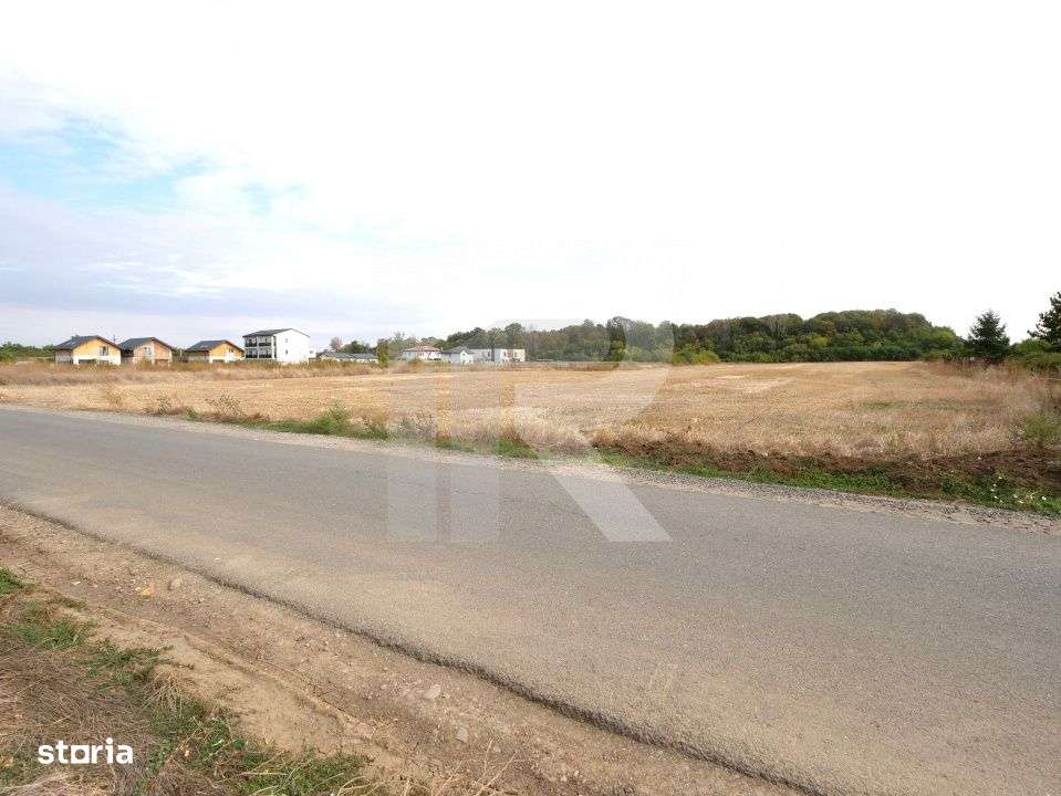 LOTURI PENTRU CASA - 420mp + 89mp drum - Otopeni, Ilfov - IN CURS DE A - Imagine principală: 3/9