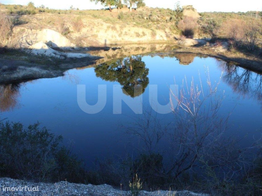 Terreno Rústico para Venda em Castelo Branco