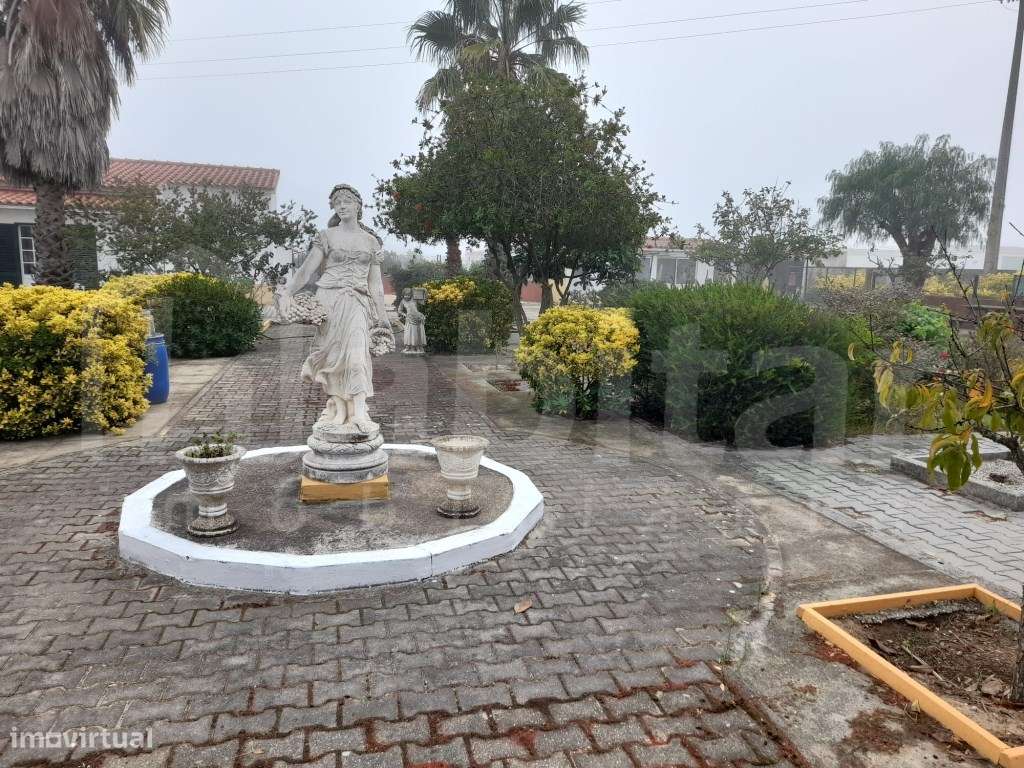 O Refúgio Perfeito: Quinta T3 com 5.000m² nos Foros de Salvaterra - Grande imagem: 4/21