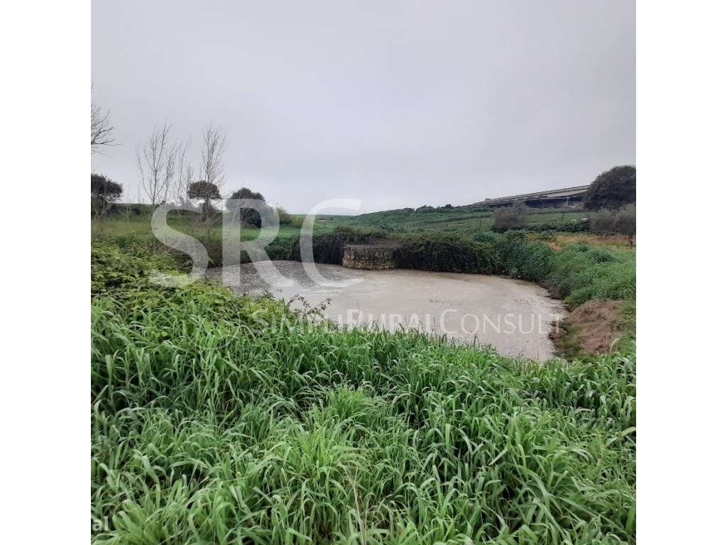 Herdade do olival das Barreiras-6