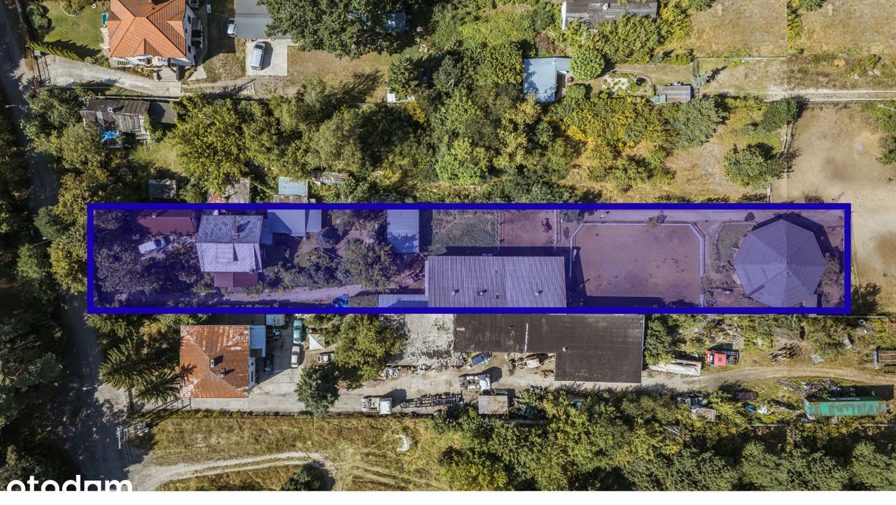 Dom z syberyjskich bali w Józefowie 220 m² + stajnia + 3000 m² działki - Pełny obrazek: 4/20