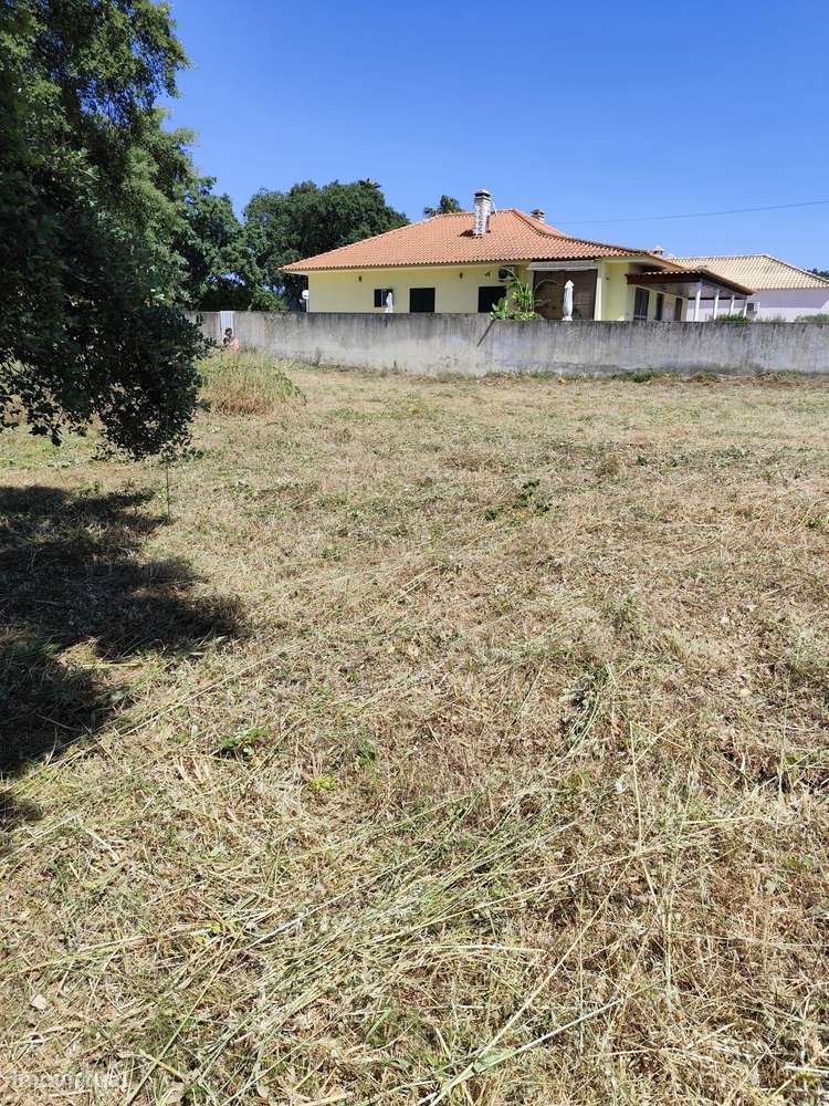 Terreno de 1110m2 Urbano, Oportunidade única - Grande imagem: 5/5