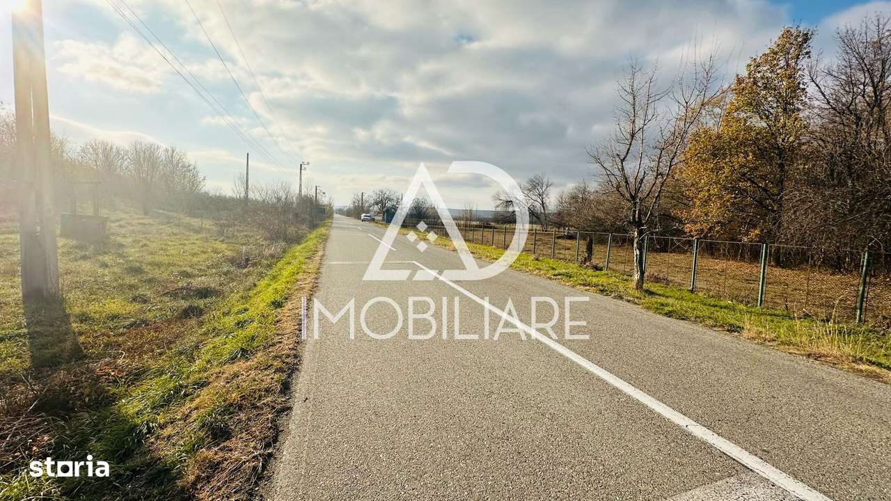 Teren intravilan 1160 mp – Ideal pentru investiție sau locuință. - Imagine principală: 2/3