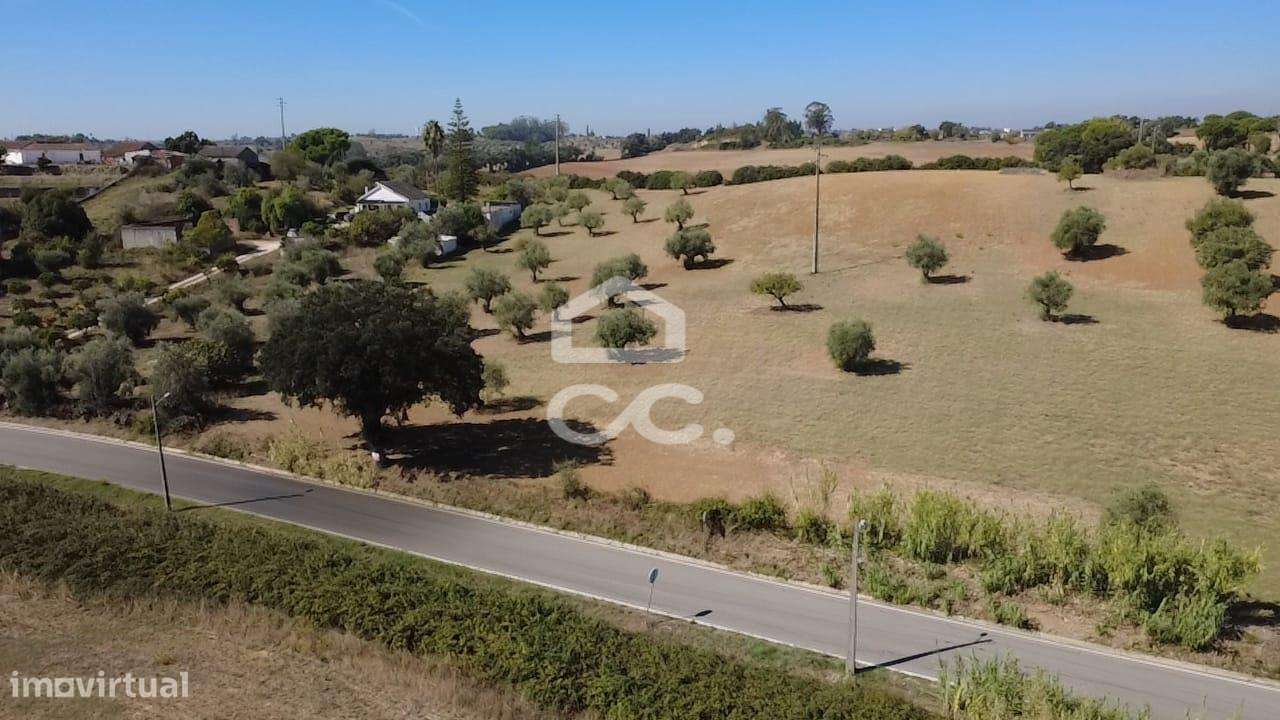 Terreno Rústico com 25.240 m² em Ferras, Gavata, Torres Novas – RAN-42