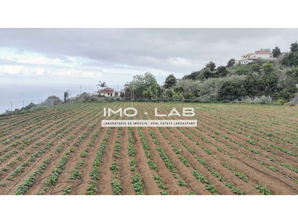 Armazém + 25.566m2 de Terreno Cultivado - São Jorge - Santana-11