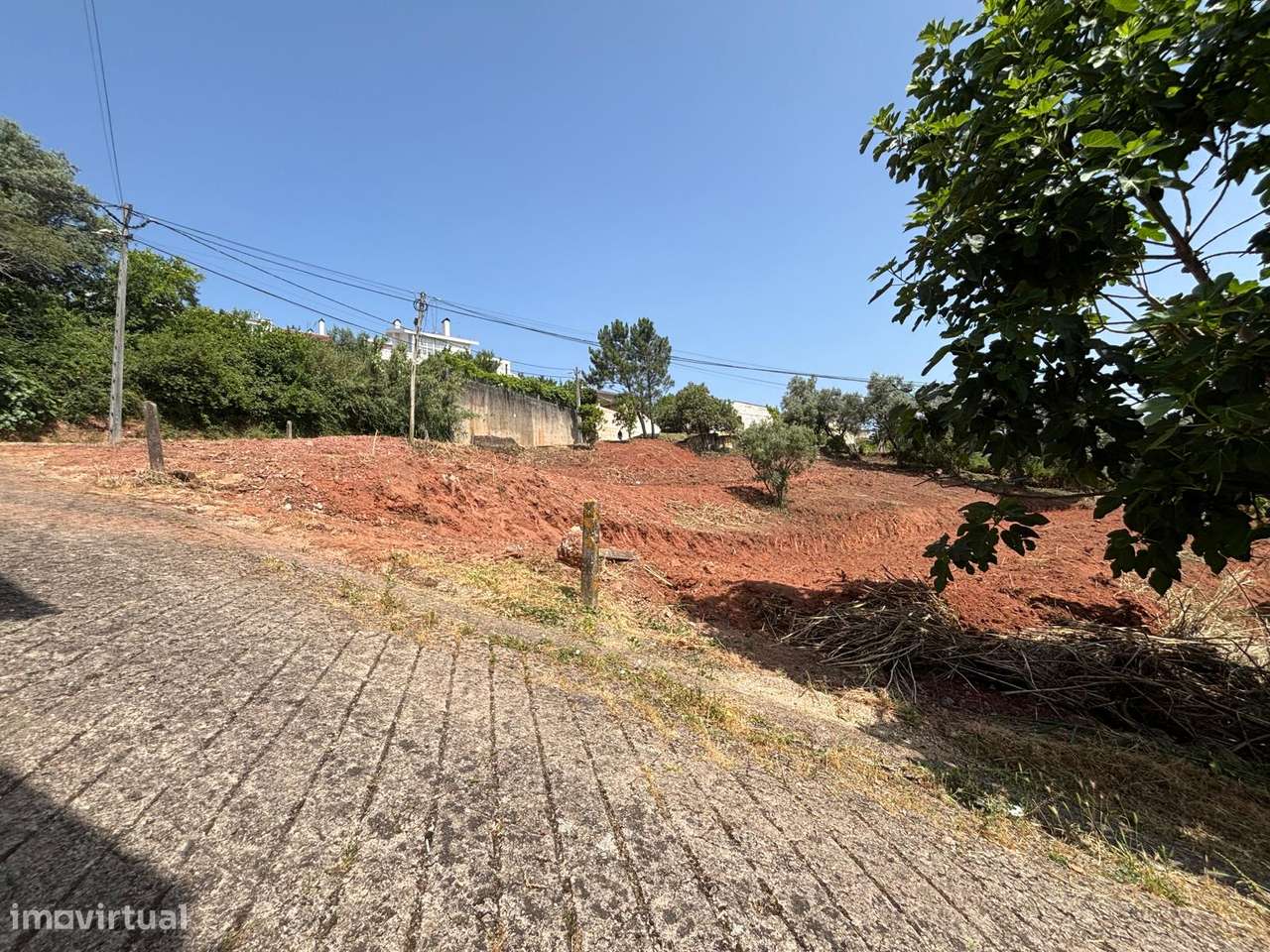 magnifico terreno nos Malheiros para 5 moradias-5