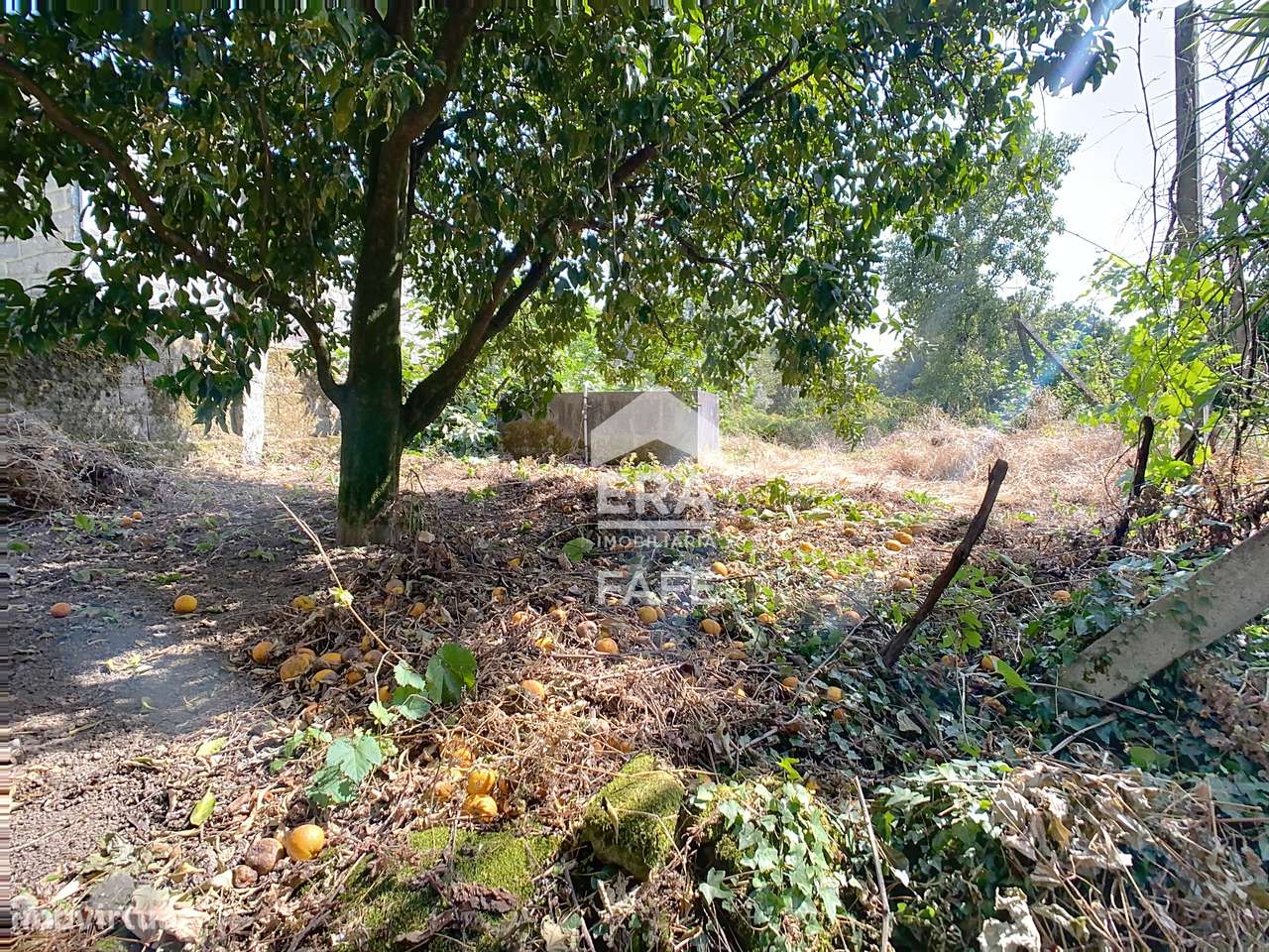 Terreno para construção em Fornelos - Grande imagem: 4/7