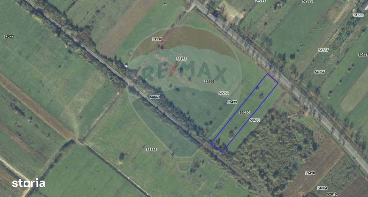 Teren 4,000mp Cicarlau / Strada Principala intravilan - Imagine principală: 4/4