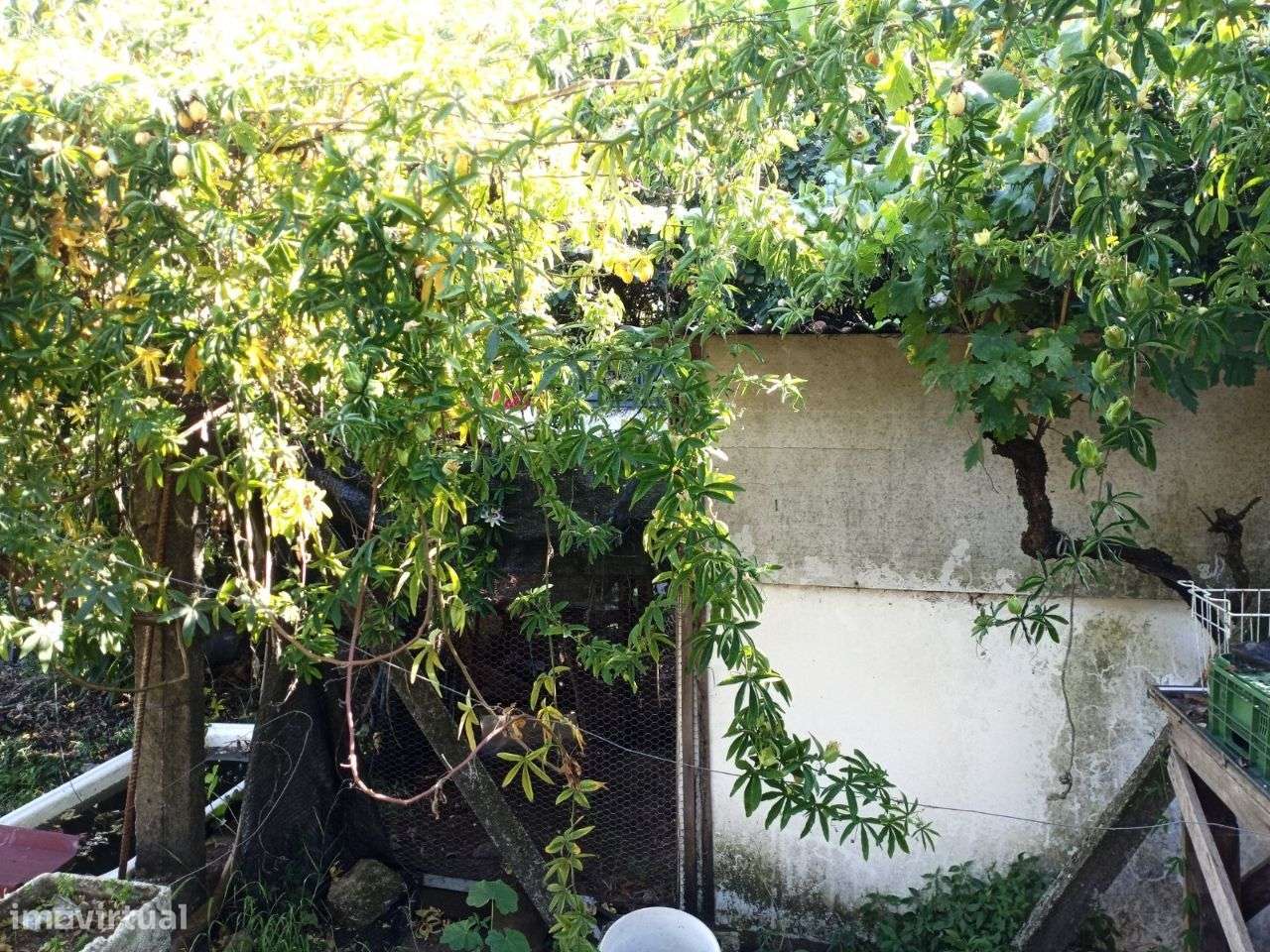 Lote - Grande imagem: 2/3