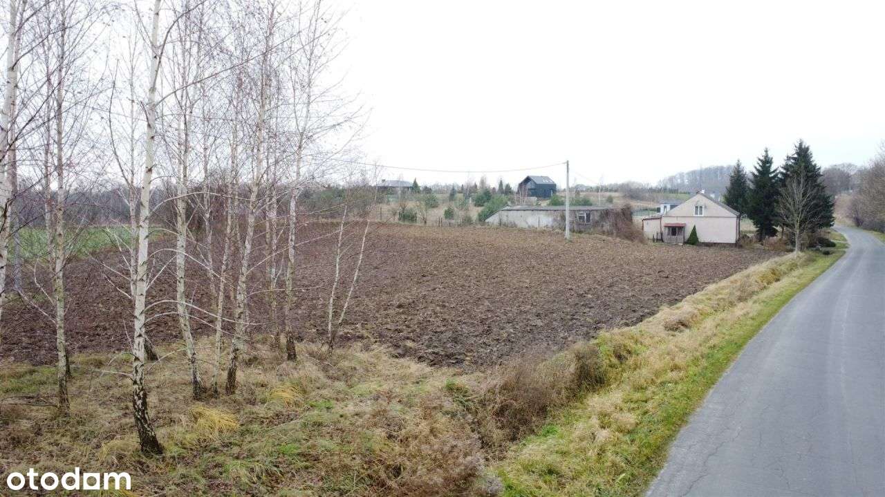 Działka w pobliżu jeziora - Łapinóżek-15