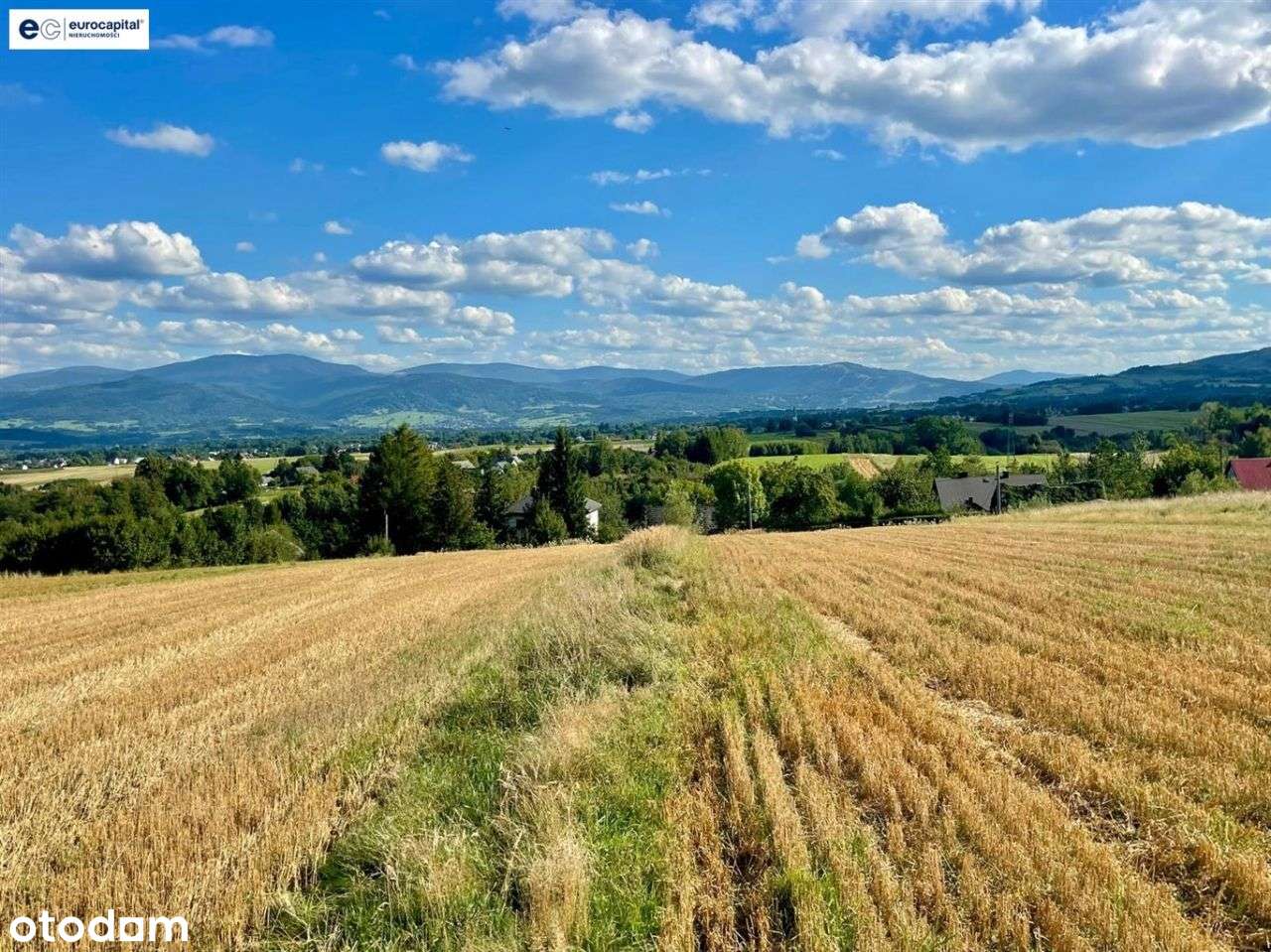 Duża, Słoneczna I Widokowa W Pietrzykowicach !!! - Pełny obrazek: 4/17