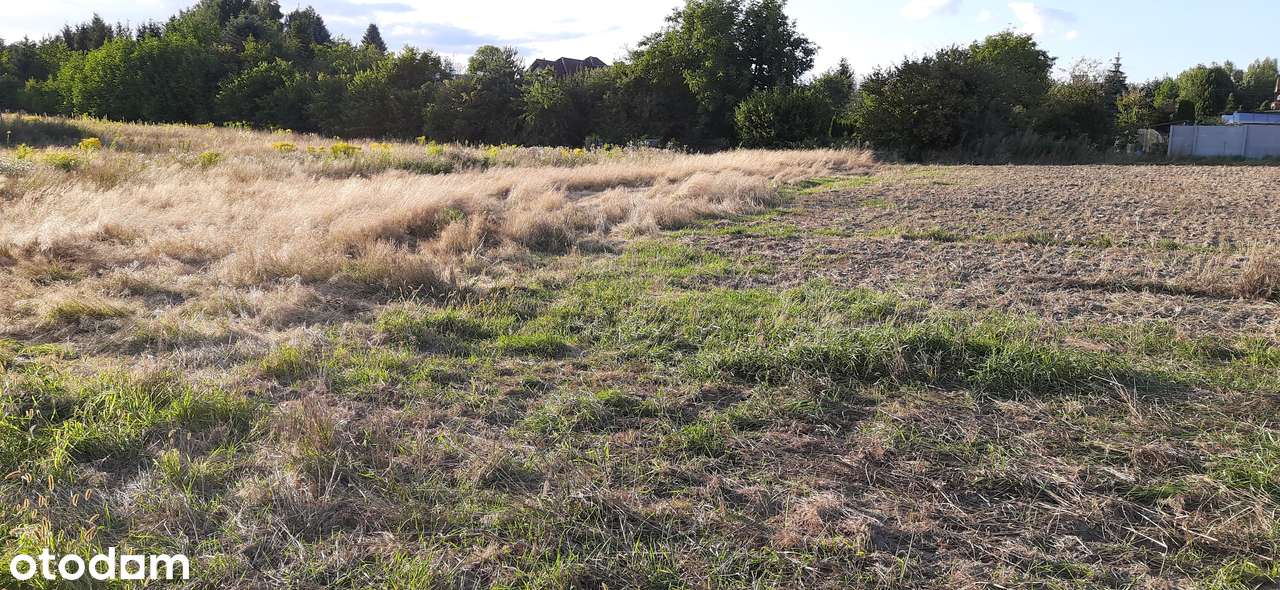 Działki Łódź-Widzew z Warunkami Zabudowy - Pełny obrazek: 5/5