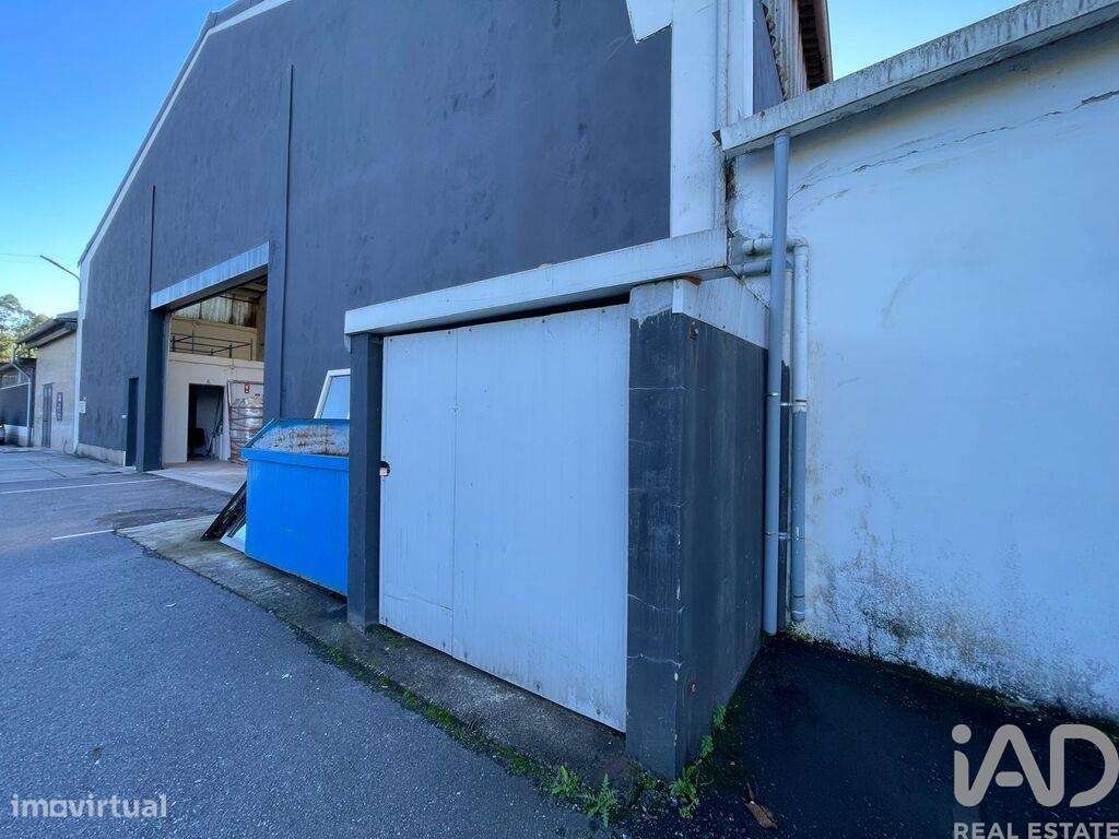 Hangar T1 em Manhente de 198,00 m2 - Grande imagem: 5/18