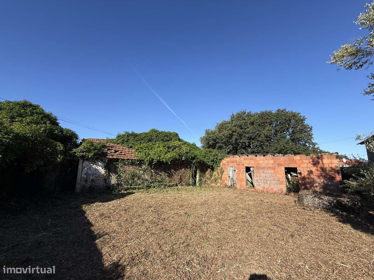 Terreno com casa e anexo para restaurar - Turquel, Alcobaça-8