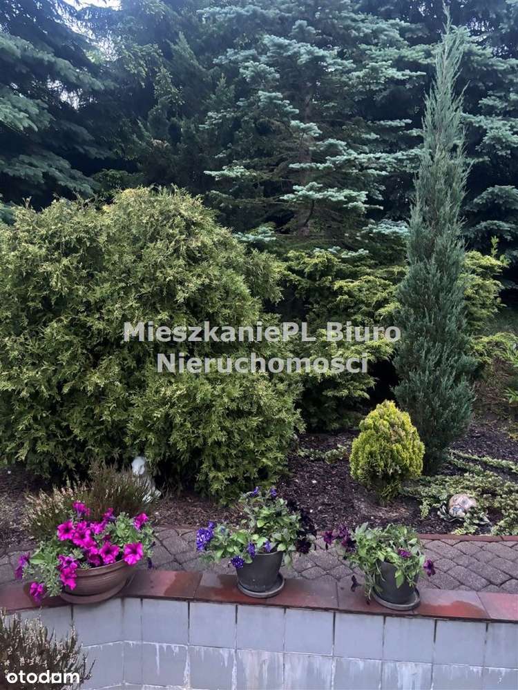 Atrakcyjny dom Sosnowiec Klimontów-16