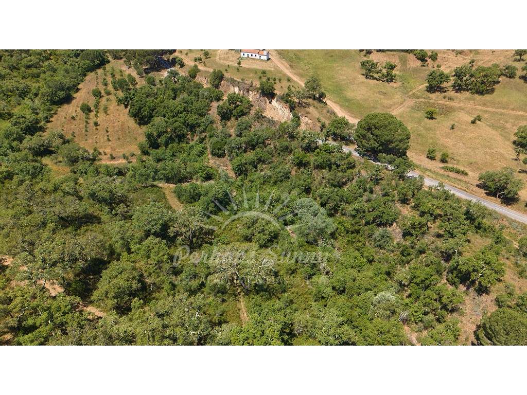 Propriedade Rústica de Montado com Ribeira | 22,6 Hectares | Serra ...-16