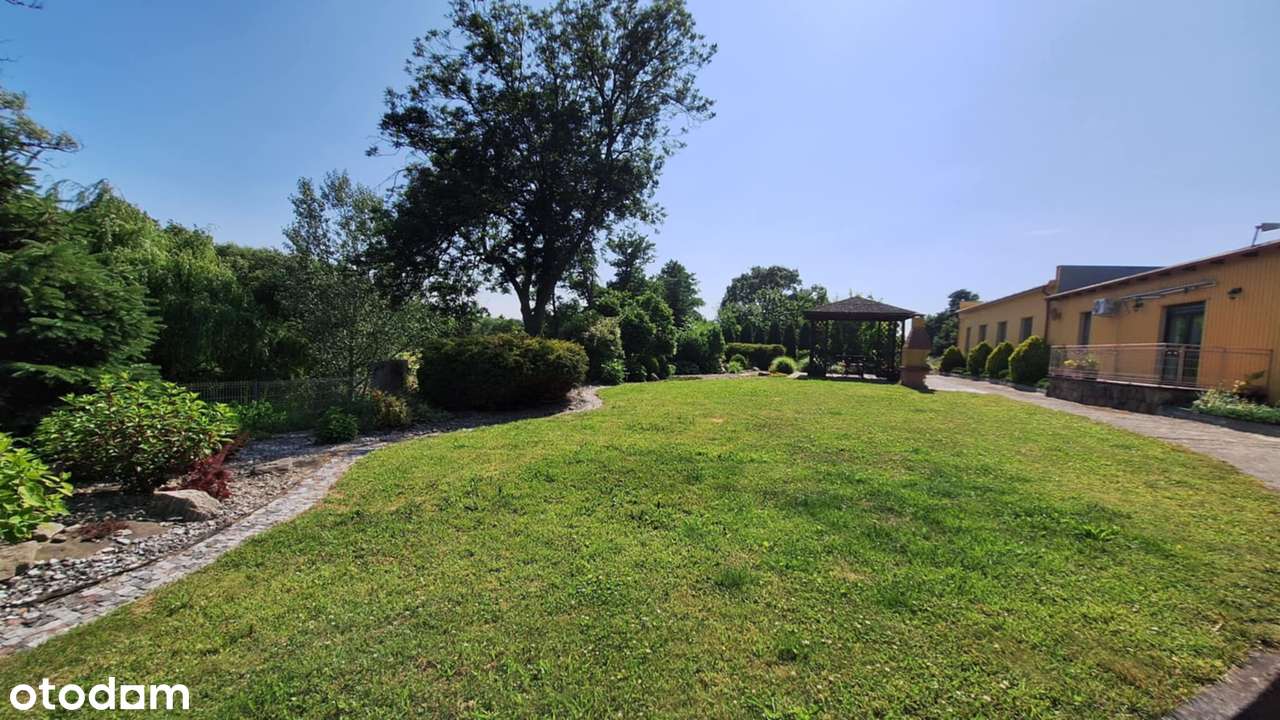 Budynek usługowo-mieszkalny 700 m², działka 12 445 m², Wyszki-4