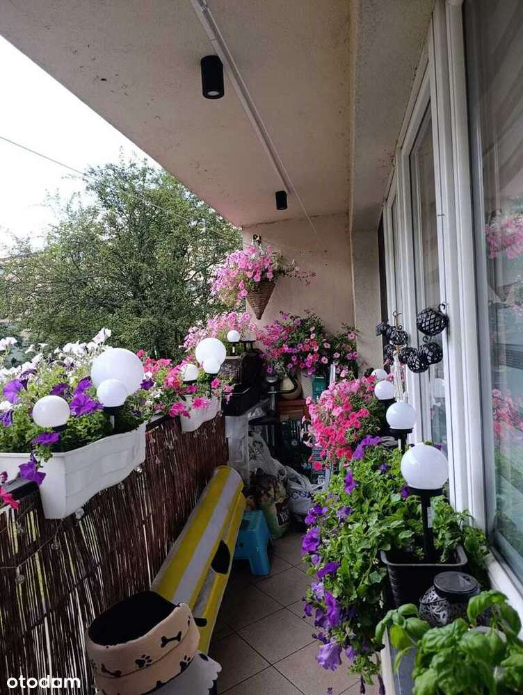 Przestronne mieszkanie przy ul. Chrobrego.-13