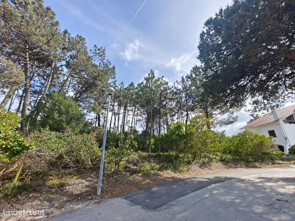 Lote a apenas 750 metros da Lagoa de Óbidos-2