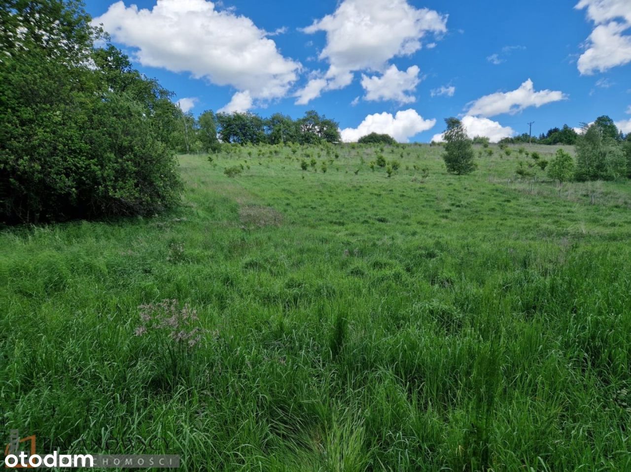 Działka, 1 656 m², Michałowice