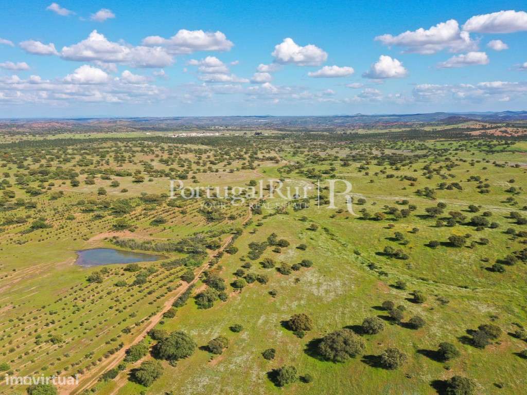 Herdades de Caça com 1300 Hectares, junto do rio Guadiana-36