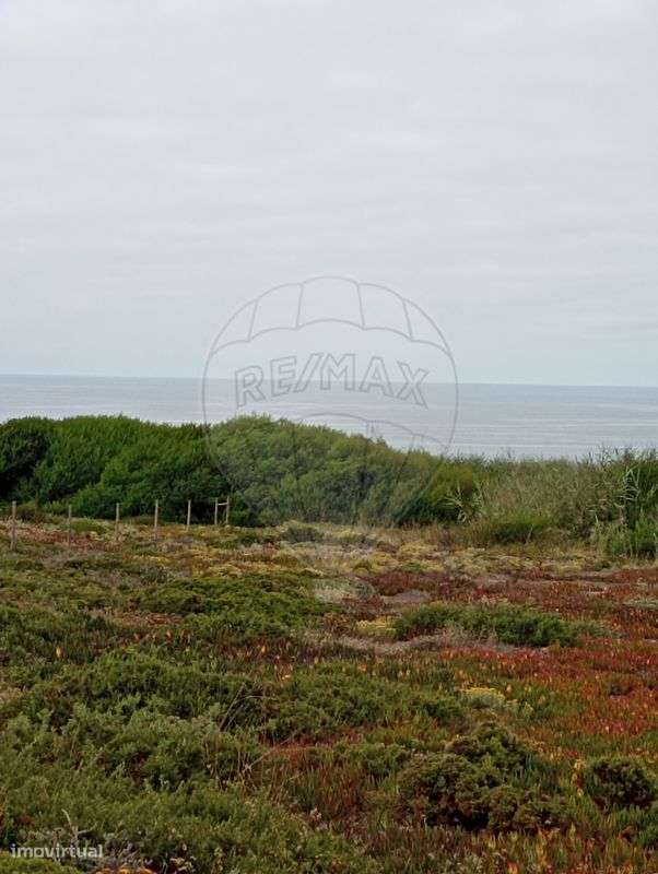 Terreno  para venda - Grande imagem: 3/13