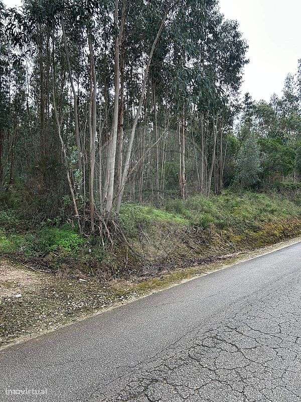 Terreno  para venda - Grande imagem: 3/15