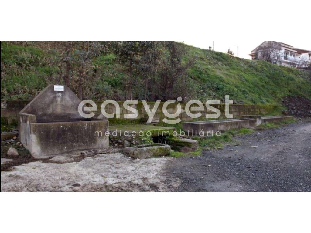 Moradia para recuperar na aldeia de Nozelos, Torre de Moncorvo. - Grande imagem: 4/15