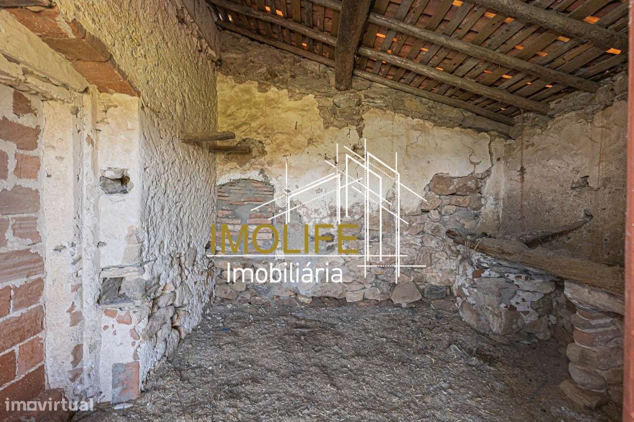 Monte Courela da Boavista - Tesas - Malarranha-52