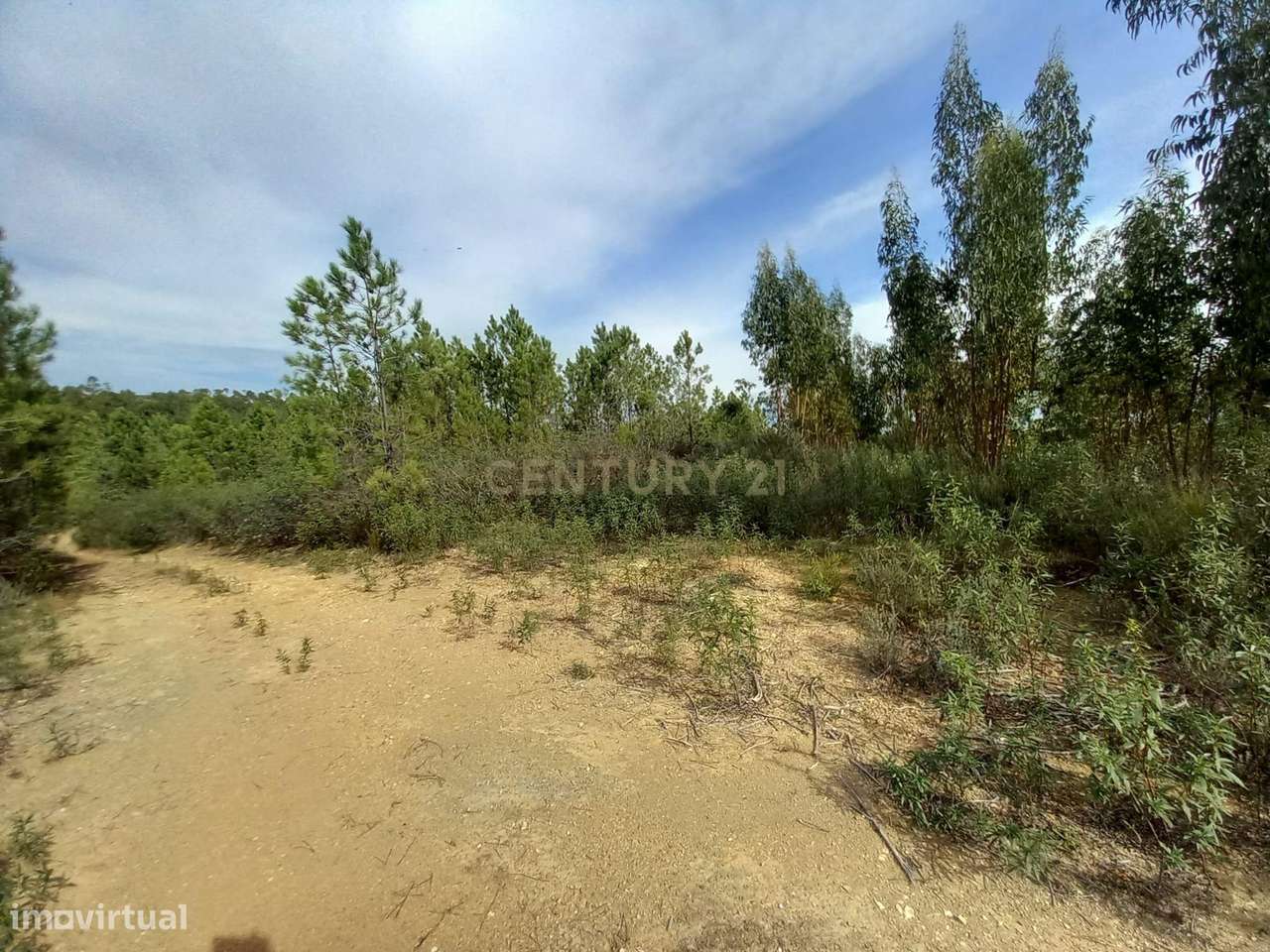 Terreno Rustico com 13520M2 - Grande imagem: 3/9