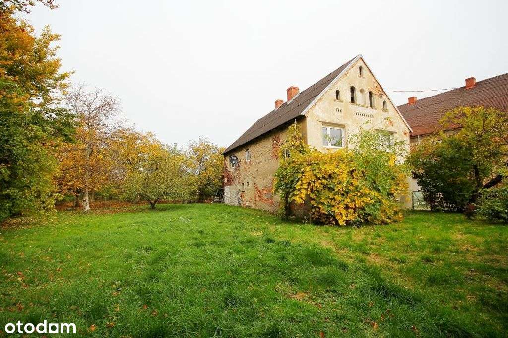 Budynek z obszerną działką z potencjałem-1