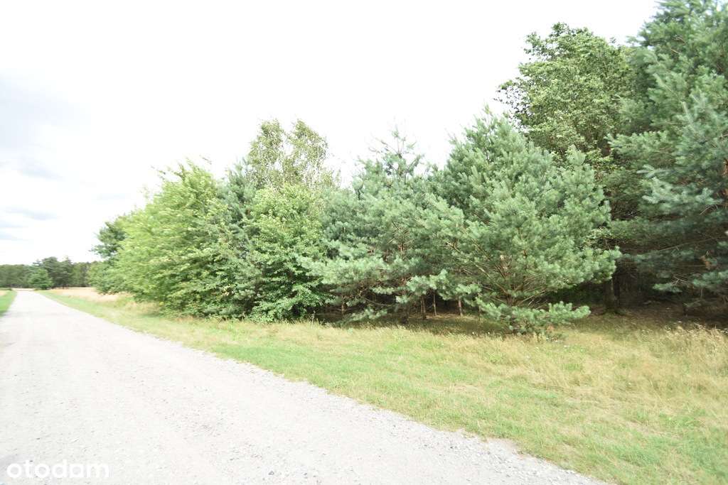 Działki rolne na sprzedaż. - Pełny obrazek: 5/6