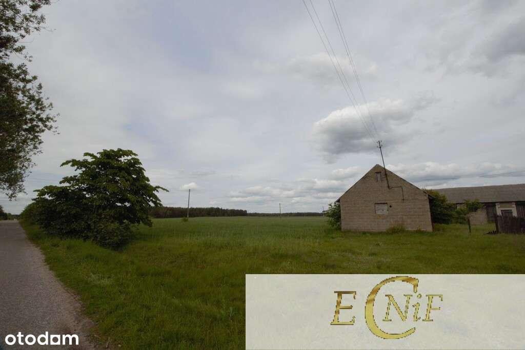 Działka budowlana Białaszewo Kolonia kilka działek-3