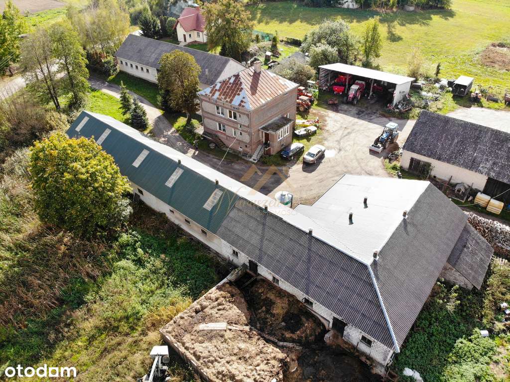 Duże gospodarstwo rolne, 24.4ha - Pełny obrazek: 3/19