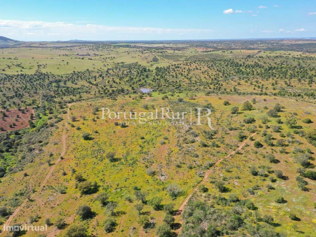 Herdades de Caça com 1300 Hectares, junto do rio Guadiana-58